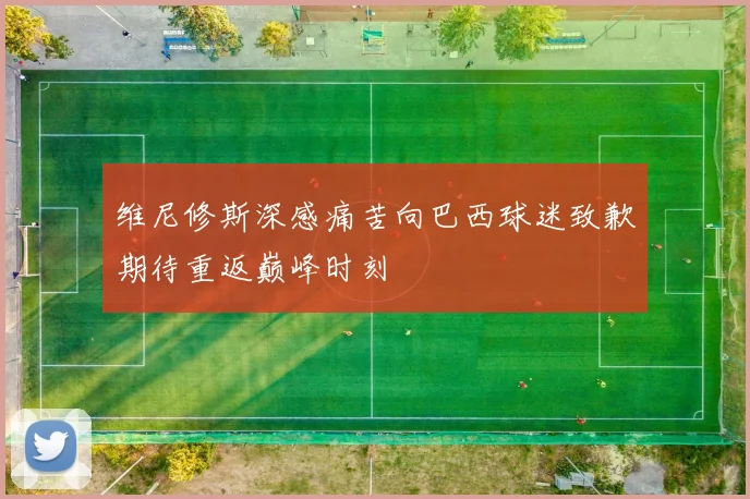 维尼修斯深感痛苦向巴西球迷致歉期待重返巅峰时刻